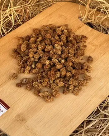 Kağızman Dut Kurusu